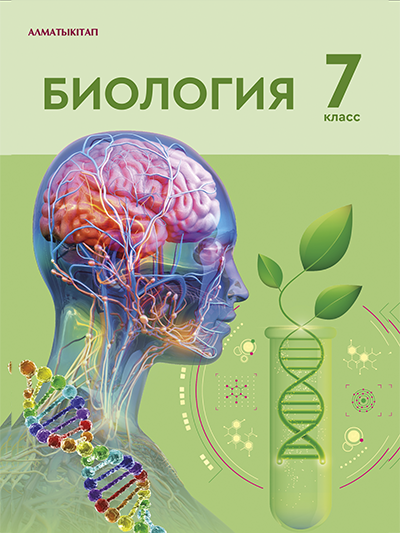 Жас порно фильм 50 жігіт қызды сиқыйды